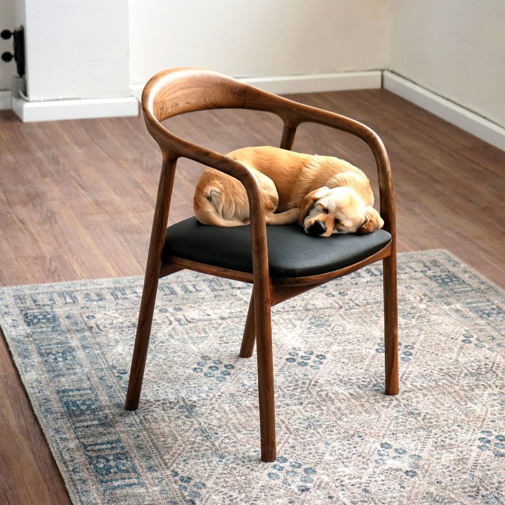 Walnut Dining Chairs