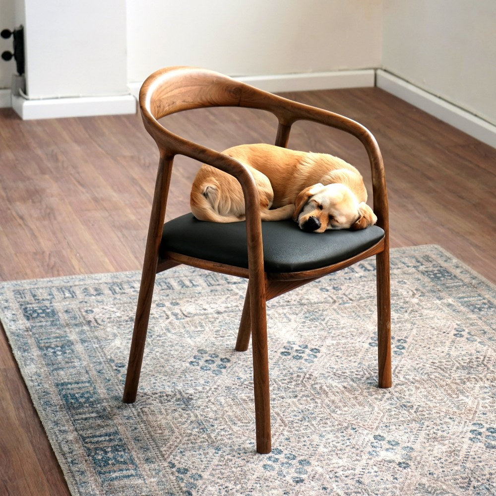 office-chair-and-dining-chair-mid-century-modern-walnut-wood-chair-with-black-cushion-a-dog-fall-a-sleep-on-it-upphomestore