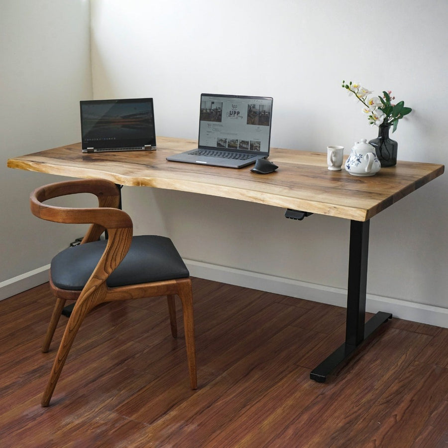 Live edge wooden standing desk with black metal legs and two laptops, with a curved-back chair beside it