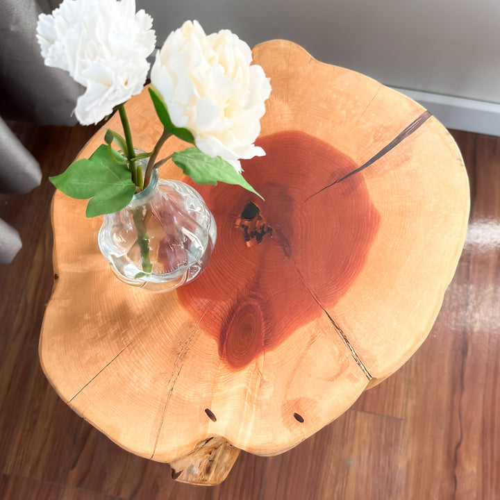 cedar-side-accent-end-tables-slab-red-table-slab-end-table-storage-options-in-natural-wood-finish-upphomestore