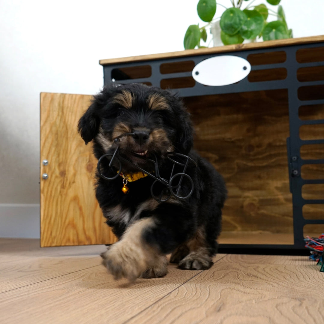 Black/Brown Rustic Wood and Metal Dog House - UPP Home Store